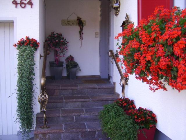 Appartements Gaestehaus Monika Bezau Exterior foto